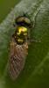 359773 – Photo : lguez – France (91)